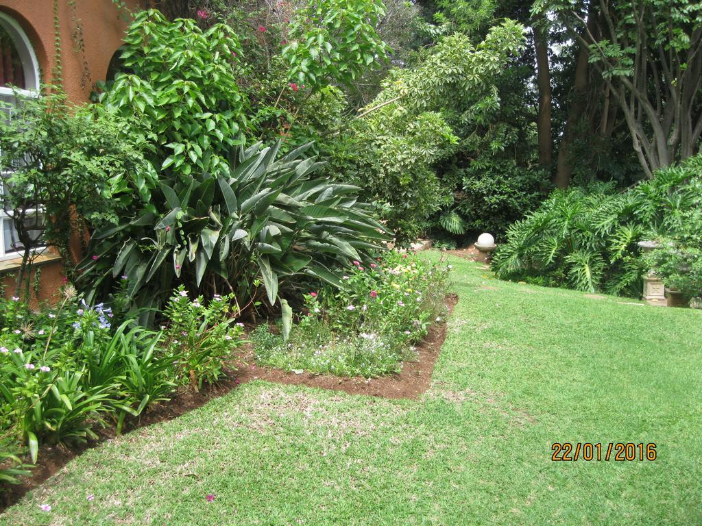 Treetops & Treats Guest House Pretoria-Noord Exterior foto